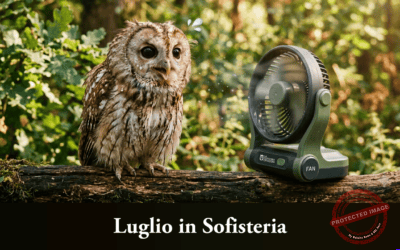 Luglio 2026 in Sofisteria